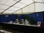 AFS 2016 10.JPG